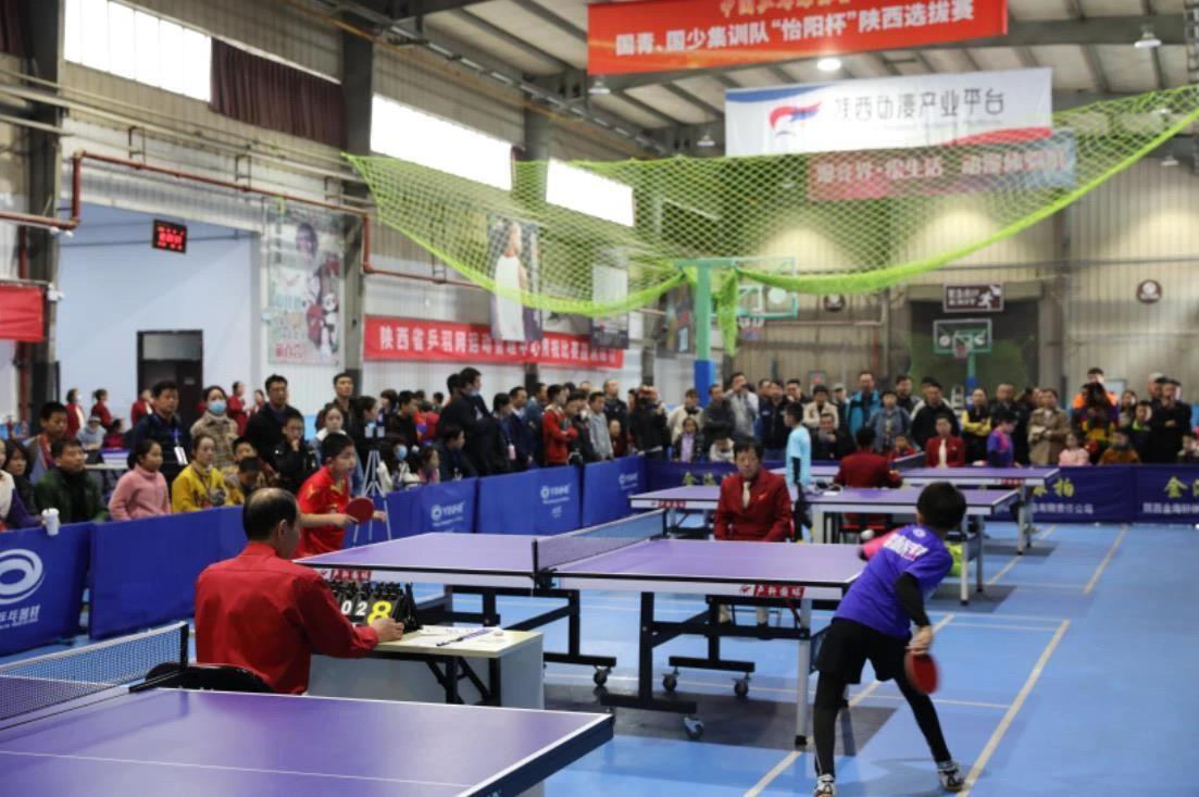 对比案例 对比案例