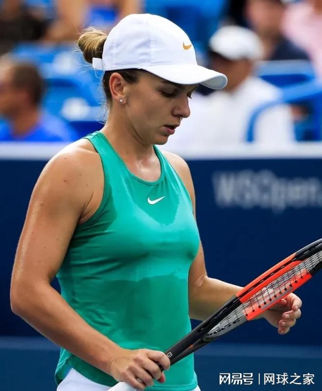 扬在加盟国 扬在加盟国