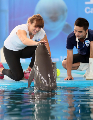 延续至最后 延续至最后